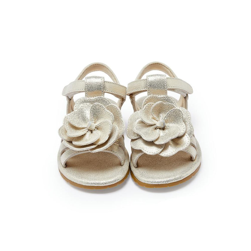 Iles Fields Sandals | Shimmer Buttercup | Silver Metallic Leather