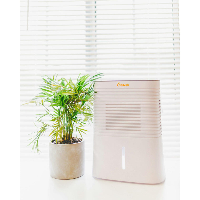 4 Pint Compact Dehumidifier for Small to Medium Rooms