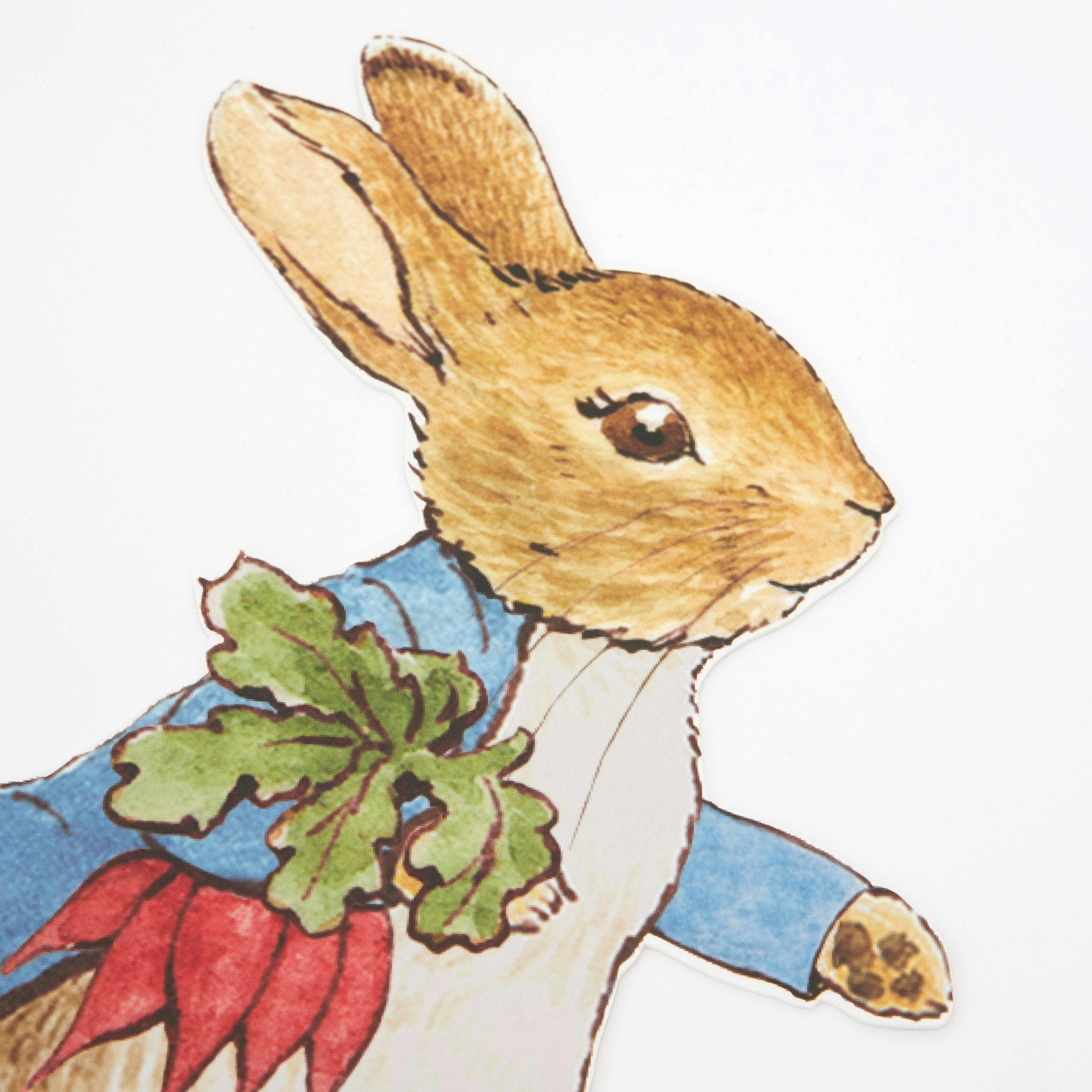 Peter Rabbit™ & Friends Egg Hunt Kit