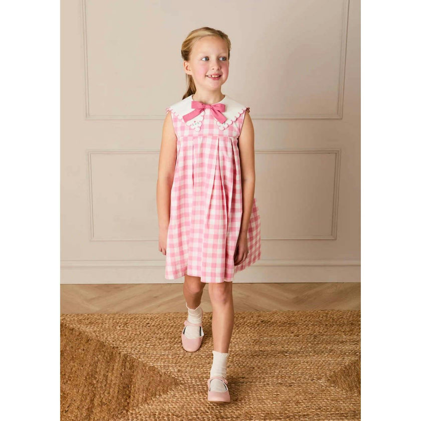 Catherine Gingham Embroidered Sleeveless Trapeze Dress in Pink (12mths- 10yrs)