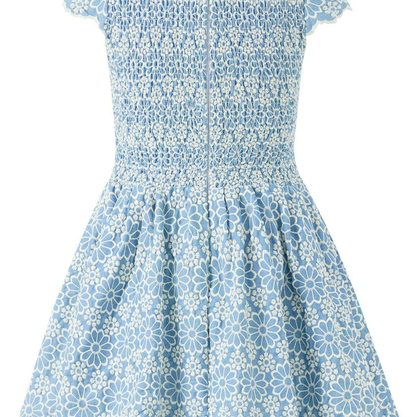 Kara Embroidered Mini Dress