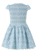 Kara Embroidered Mini Dress