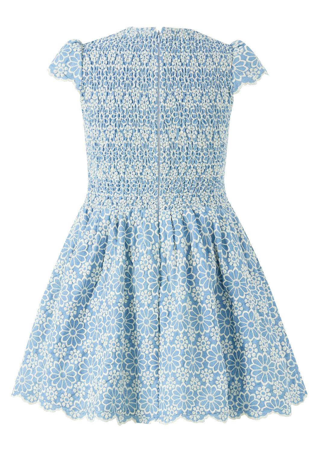 Kara Embroidered Mini Dress