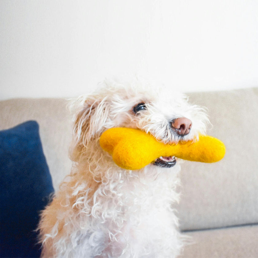 Woolbone, Yellow