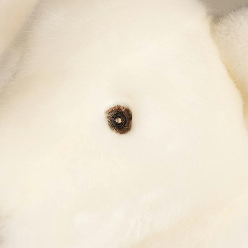 Paul-Emile the Polar Bear