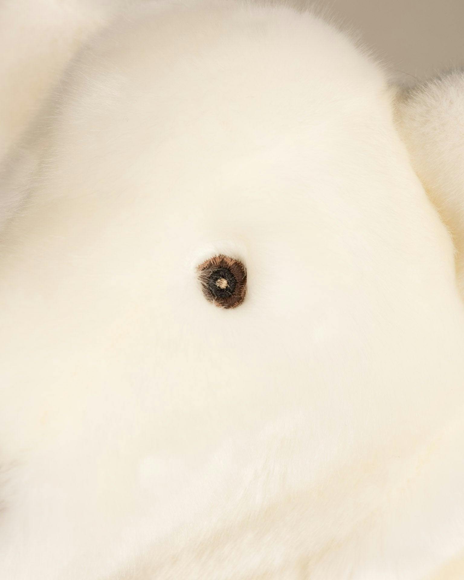 Paul-Emile the Polar Bear