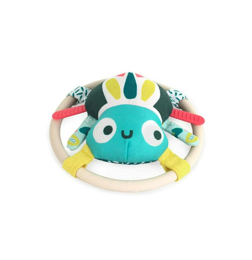 Feel to Learn: Spider rattle