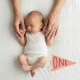 Blushing Meadow Petit Milestone Pennant