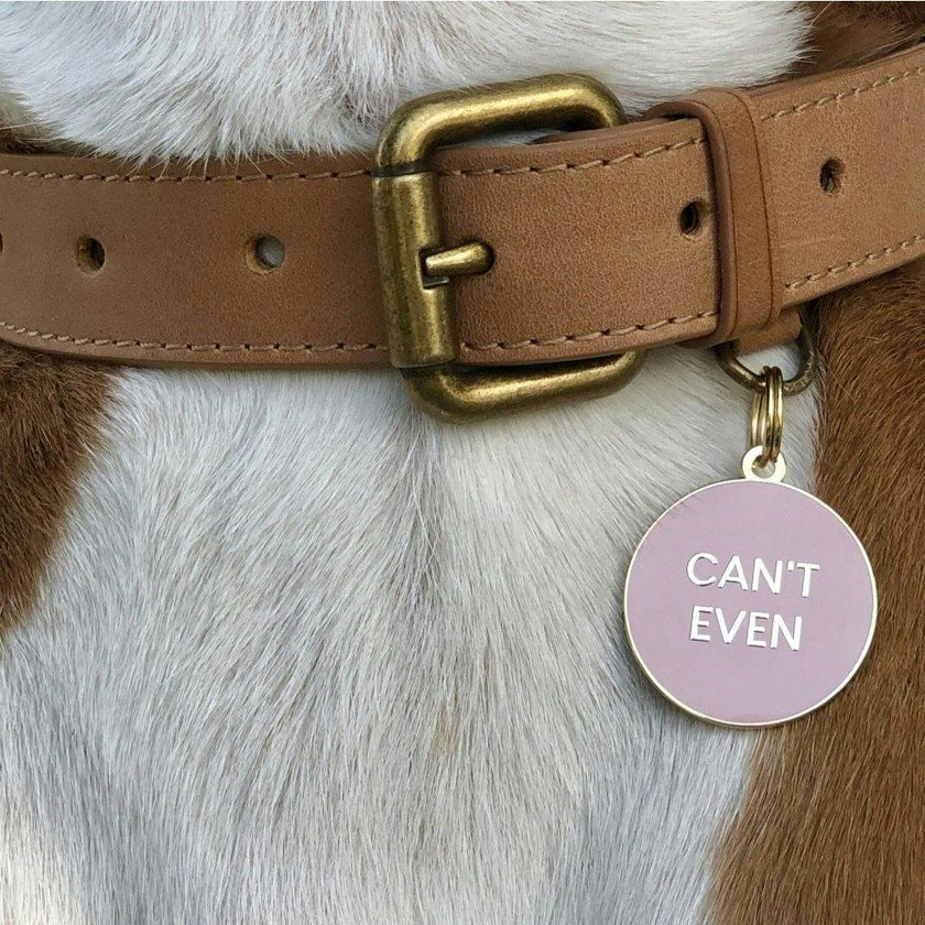 Cant Even Pet ID Tag