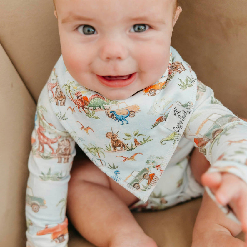 4 Pack Baby Bandana Bibs - Dino Explorer