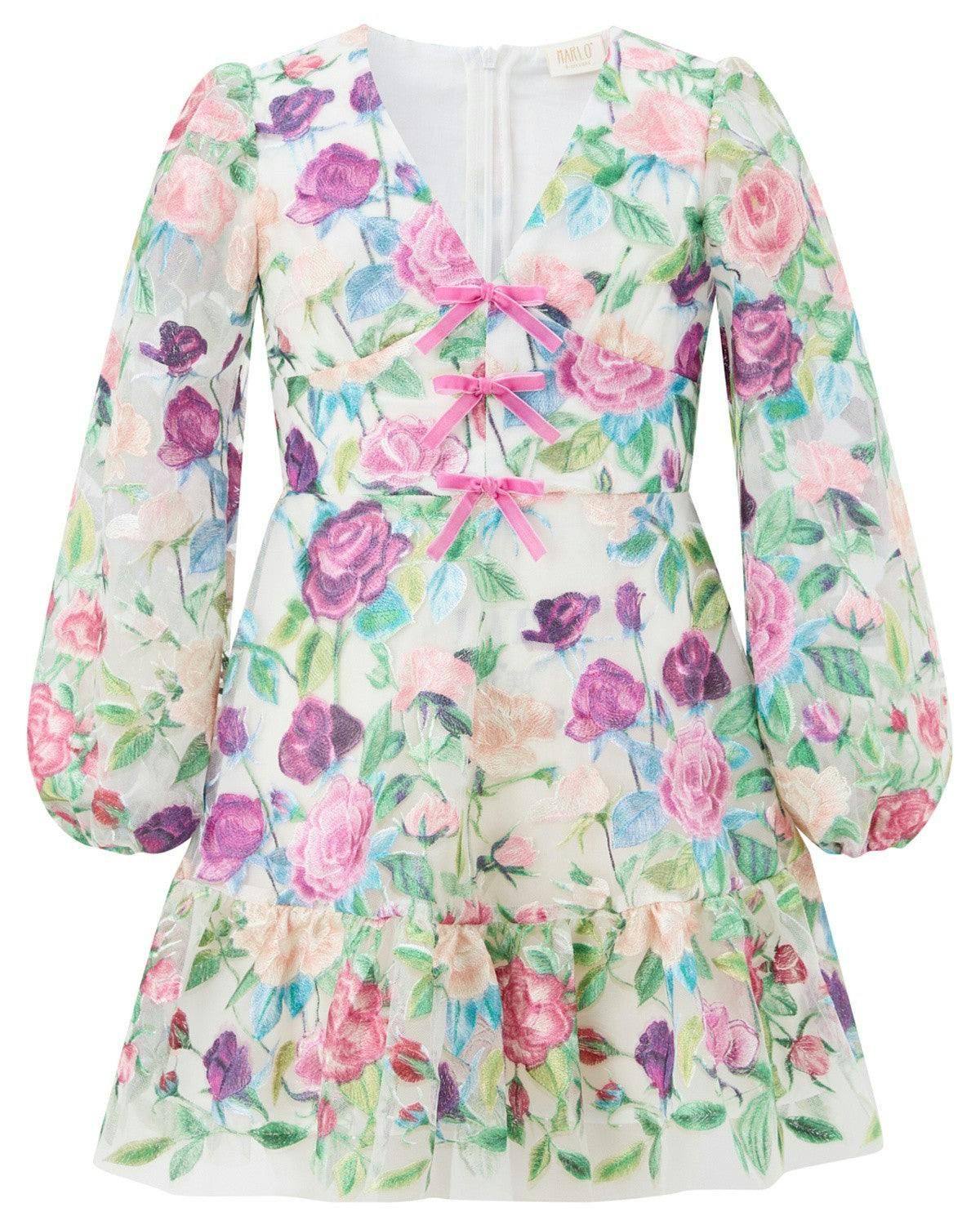 Rachelle Embroidered Mini Dress