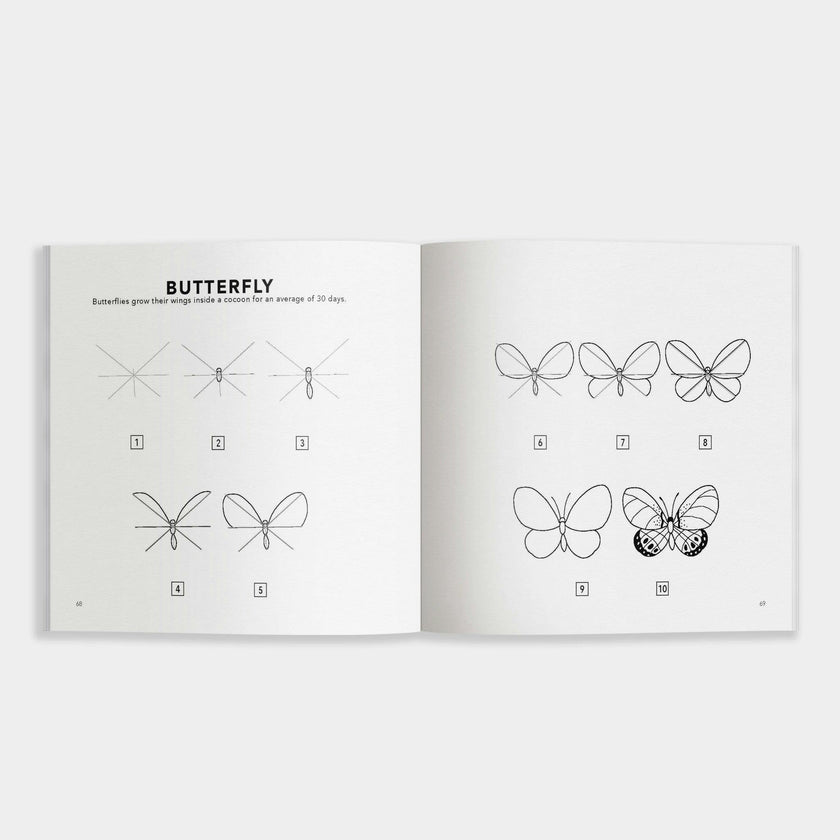 How to Draw Spring Things for Kids