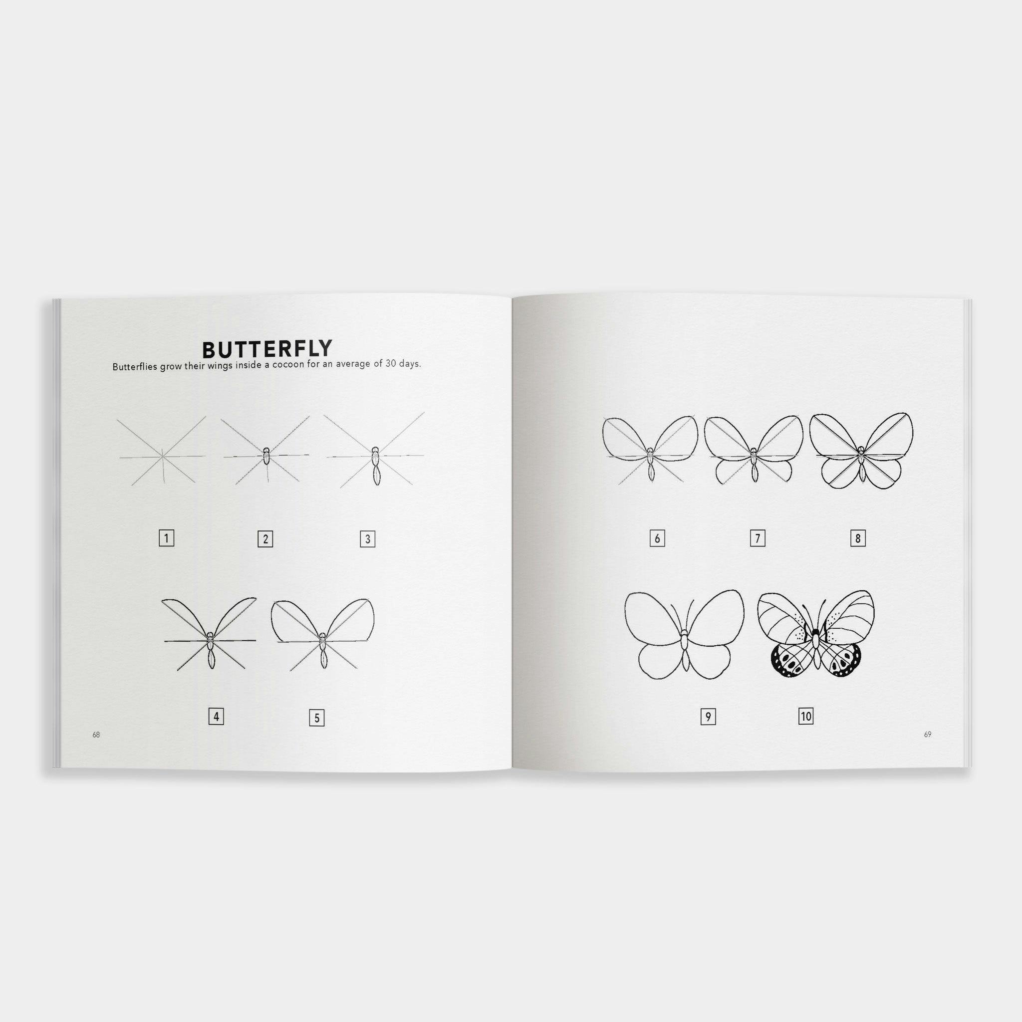 How to Draw Spring Things for Kids