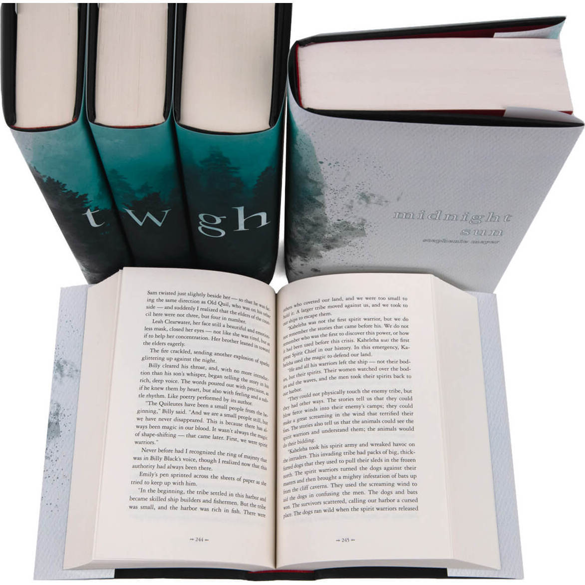 The Twilight Saga Book Set