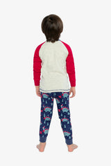 Organic Cotton Two Piece Pajama Set Blue Dinosaur Print
