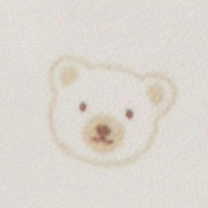 Welcome Baby Pack Vanilla Bear