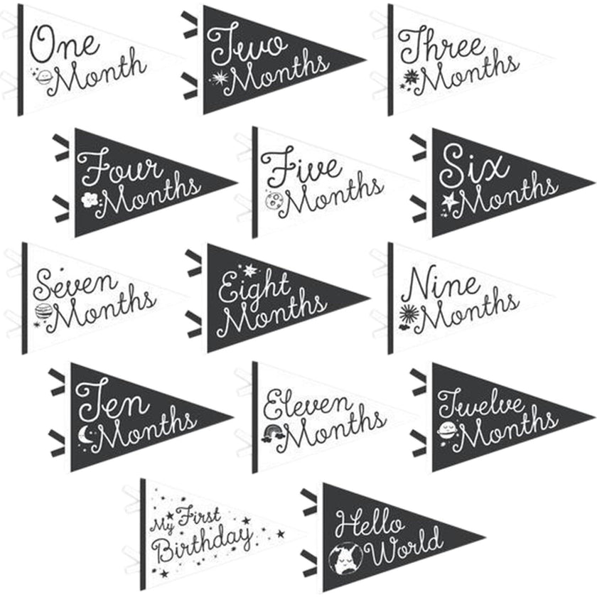 Little Stargazer Petit Milestone Pennant
