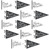 Little Stargazer Petit Milestone Pennant
