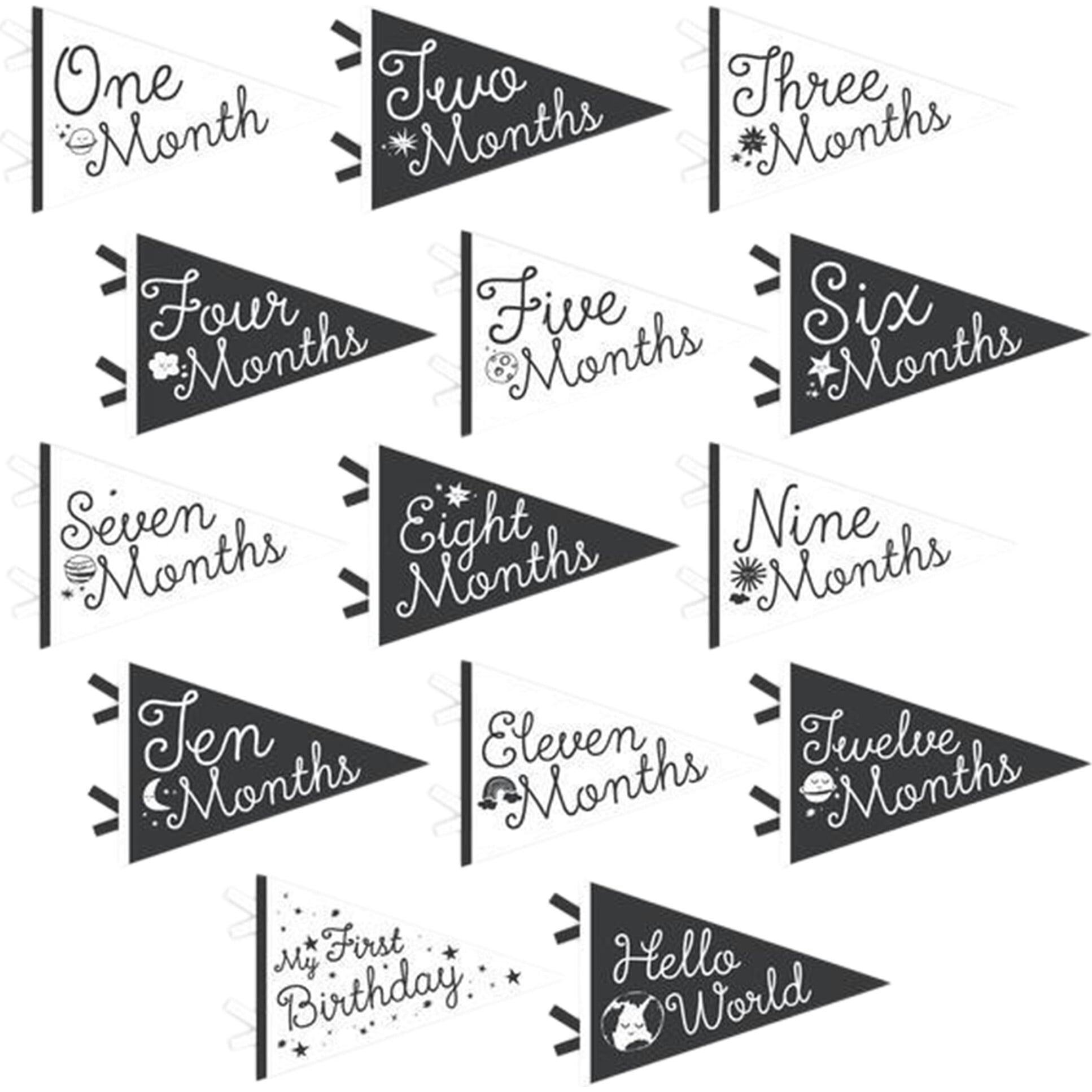Little Stargazer Petit Milestone Pennant