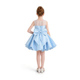 Light Blue Zorina Party Dress with Floral Accent