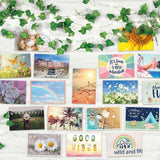 3C4G: Photo Collage & Ivy Fairy Lights - 28 pcs