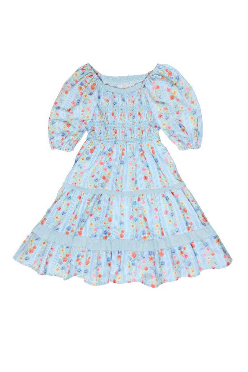 Mini Roselyn Dress in Blue Linear Floral Print
