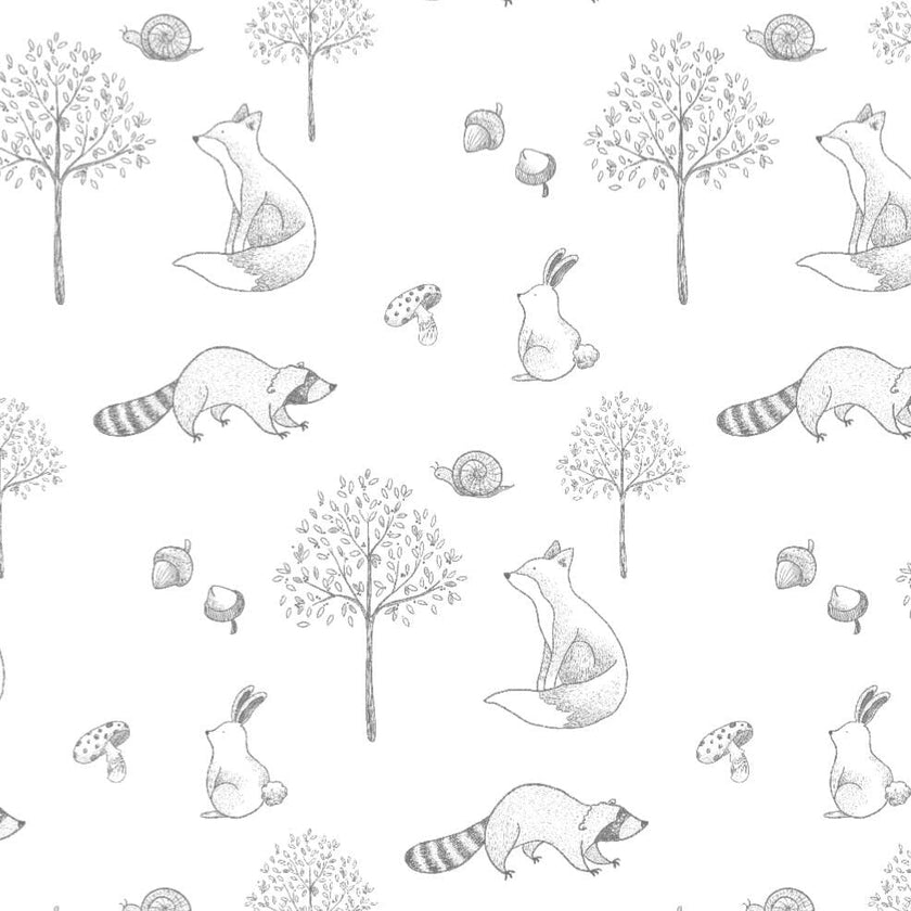 Gray Raccoon Pima Cotton Baby Blanket