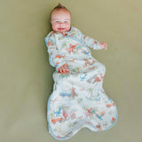 Sleep Bag - Dino Explorer