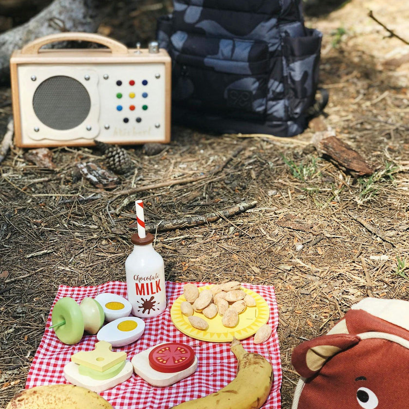 Little Bear's Picnic