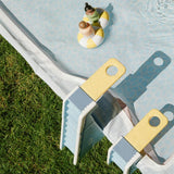 Pool Day Water Table