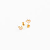 Paw Print