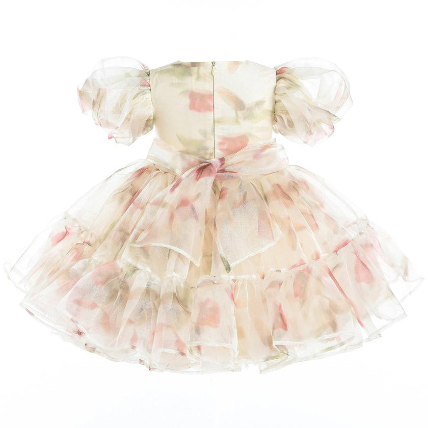 Cream Elanora Floral Organza Dress