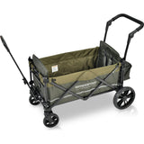 Pull & Push Double Stroller Wagon 2 Seater with Magnetic Seatbelt Buckles