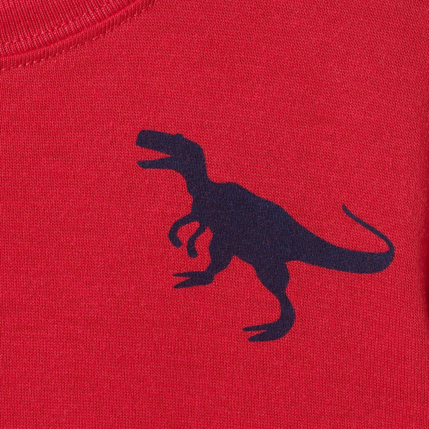 Boys (4-7) Pajama Set | Dino Sleep