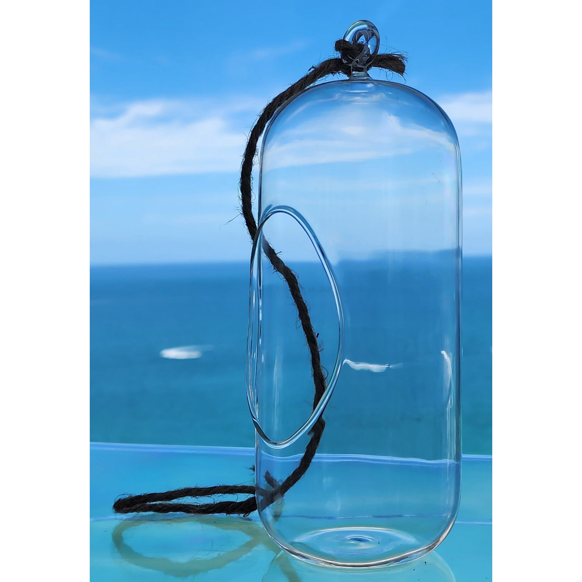 Glass Terrarium: Carefree Capsule - 2 Pack