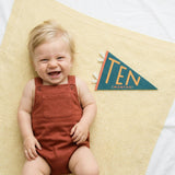 Little Kaleidoscope Petit Milestone Pennants