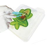 Dissect-It: Frog Lab
