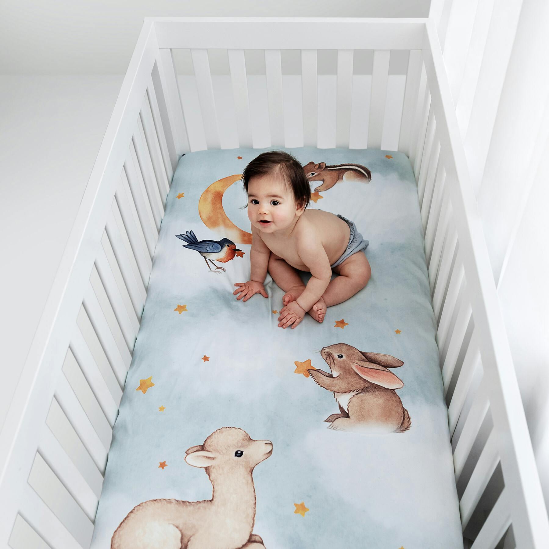 Goodnight Wonderland Standard Crib Sheet