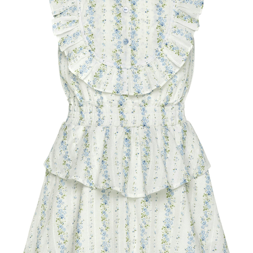 Jane Dress Secret Garden
