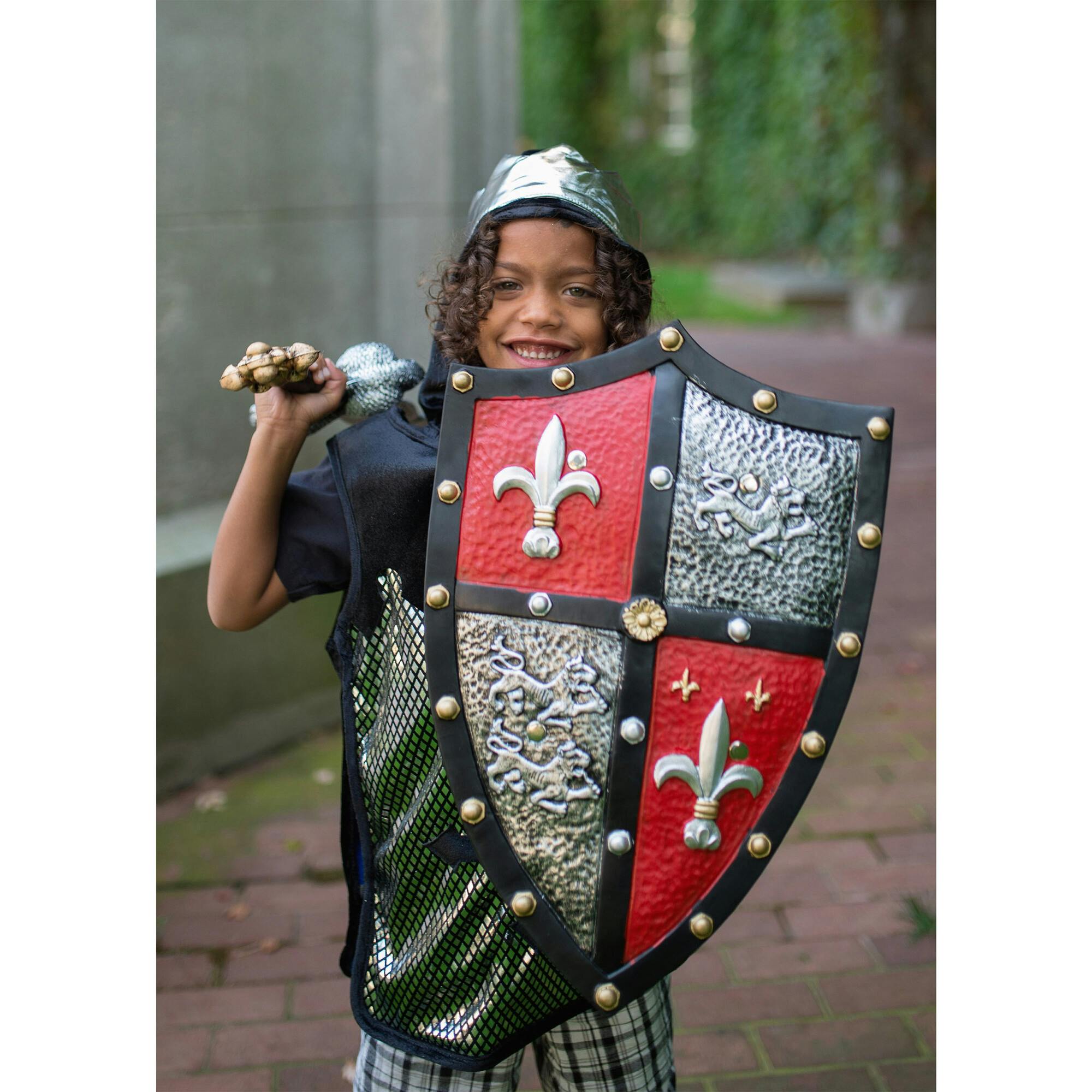 Knight Shield