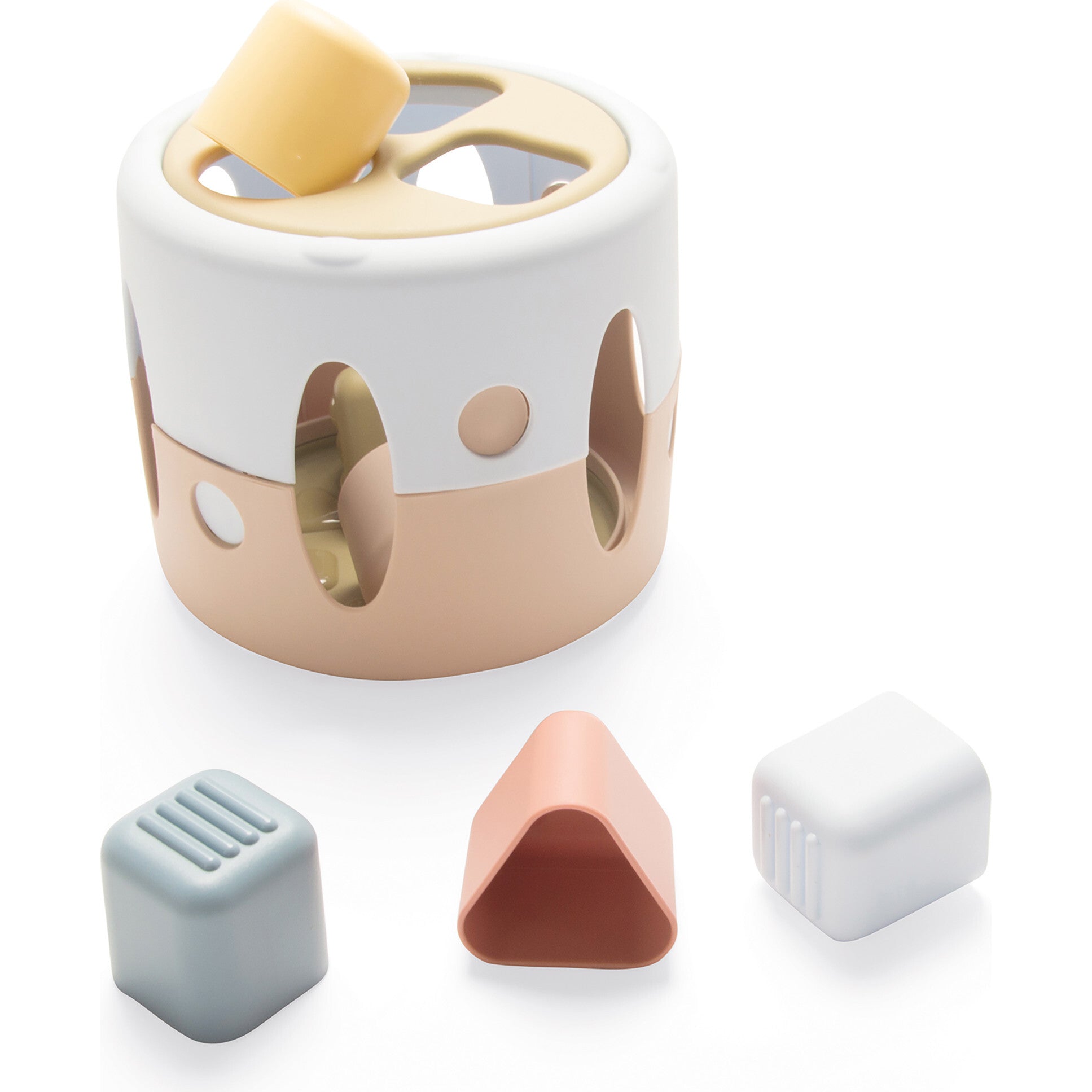 Tiny BIO: Shape Sorter