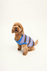 dog sweater - kopenhagen stripes