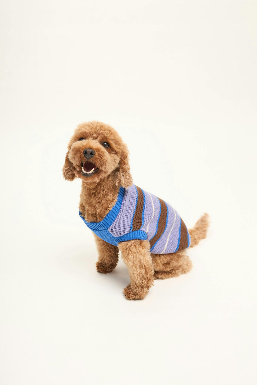 dog sweater - kopenhagen stripes