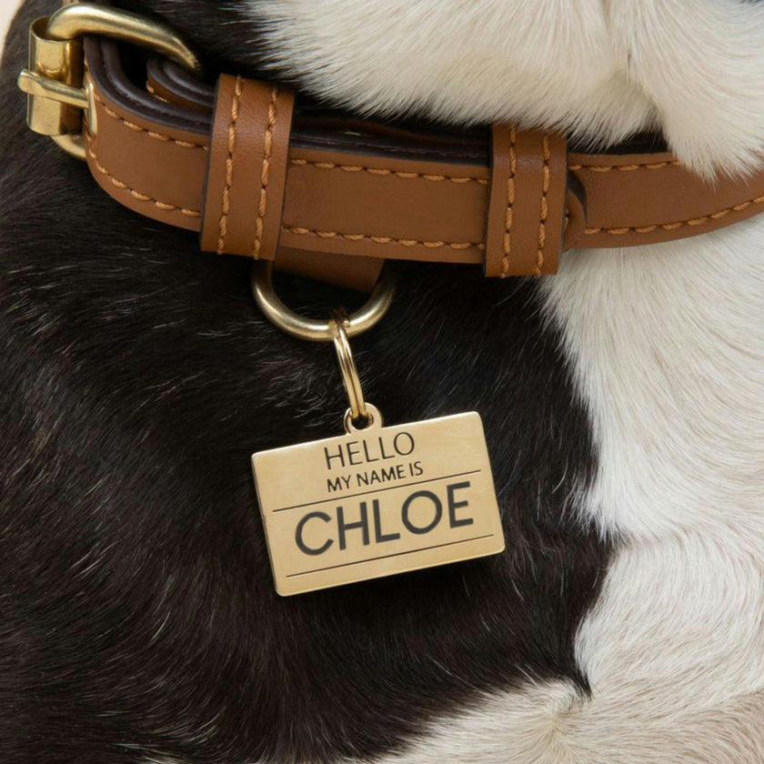 Hello My Name is Pet ID Tag