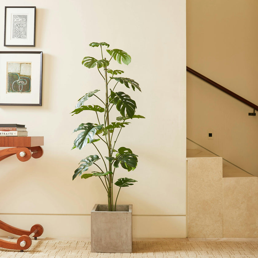 5' Artificial Monstera Tree