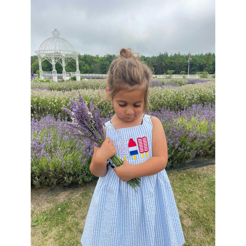 Seersucker Dress With Popsicles