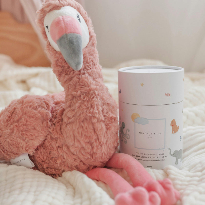 Sleepy Time Bliss Bundle
