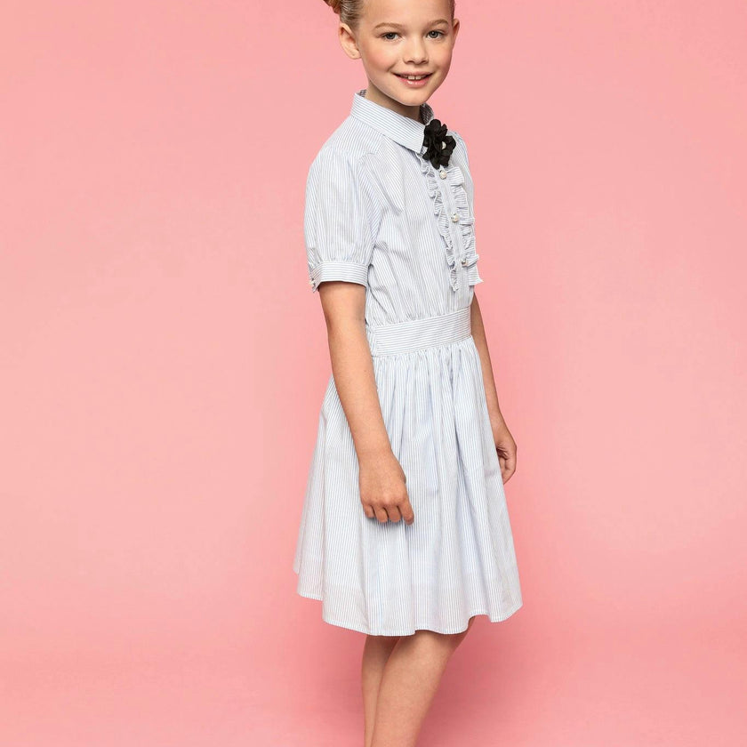 Ariel (light blue stripe)