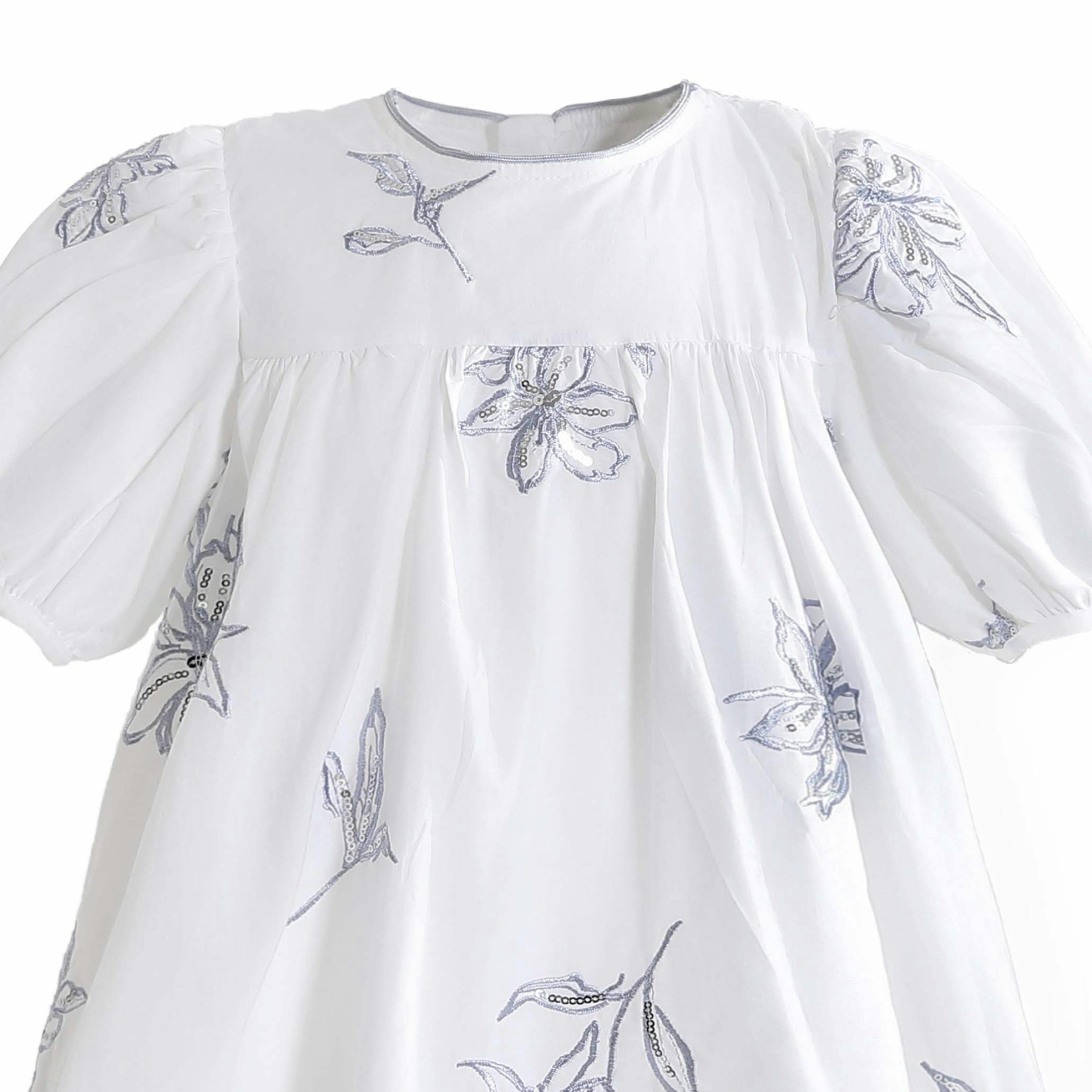 Whisper Embroidered Puff-Sleeve Dress