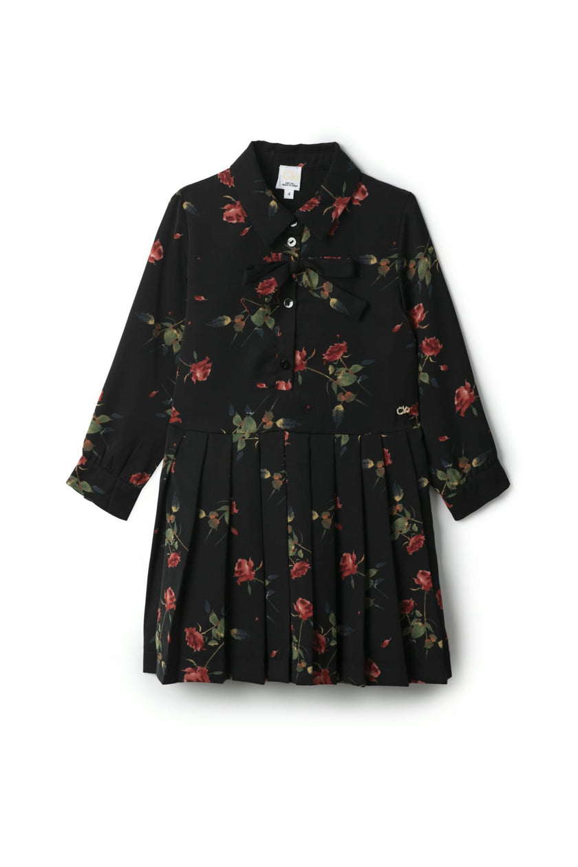 Woven Rose Print Pleated Button Front Dress